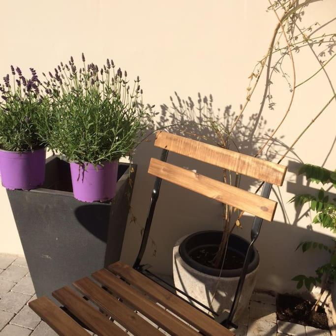 סן-ואלרי-סור-סום Le Clos De Beauchamp Appartement Le Bord De Mer 2 Velos Sont Disponibles Gratuitement מראה חיצוני תמונה
